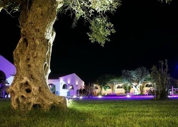 Masseria Colle Carro Ba07200451000019667 Altamura Εξωτερικό φωτογραφία