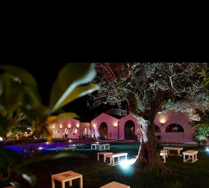 Masseria Colle Carro Ba07200451000019667 Altamura Εξωτερικό φωτογραφία