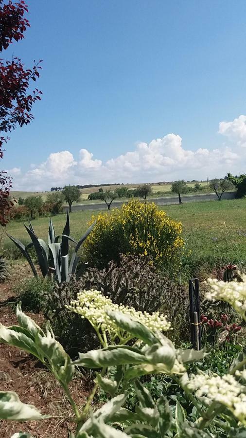 Masseria Colle Carro Ba07200451000019667 Altamura Εξωτερικό φωτογραφία