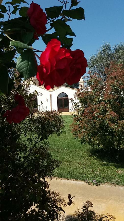 Masseria Colle Carro Ba07200451000019667 Altamura Εξωτερικό φωτογραφία